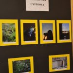 plenerowa_350